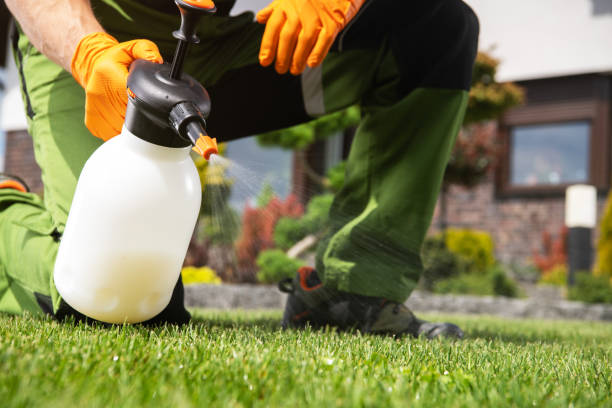 Best Flea Control Services  in West Kennebunk, ME