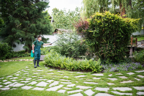 Best Pest Inspection Near Me  in West Kennebunk, ME
