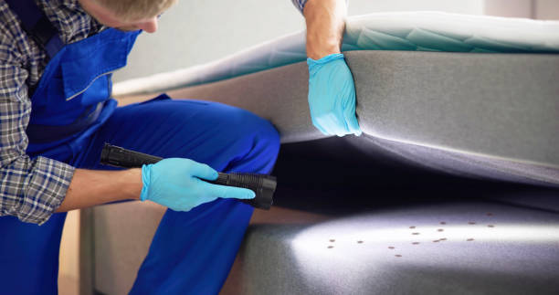 Trusted West Kennebunk, ME Pest Control Experts