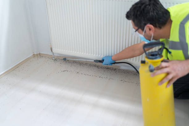 Best Local Pest Control Services  in West Kennebunk, ME